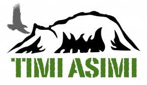 TIMI ASIMI logo